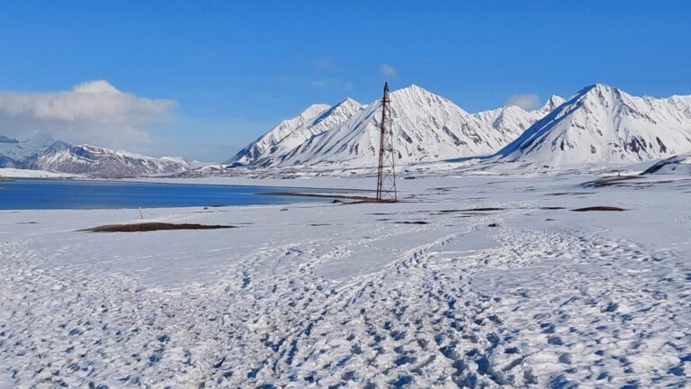 Ny Ålesund3